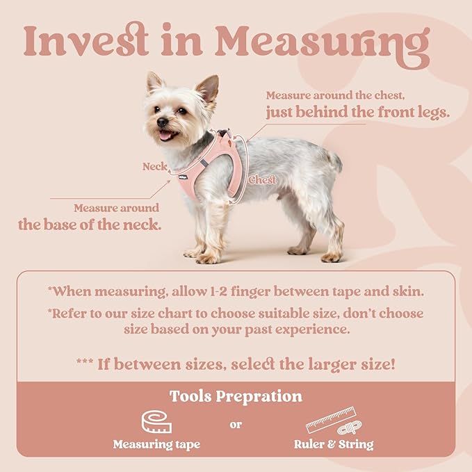 rabbitgoo Small Dog Harness, Step-in Soft Mesh Puppy Vest with Safety Buckle, Breathable Reflective Pet Harness for Small Sized Dogs, Pink XS