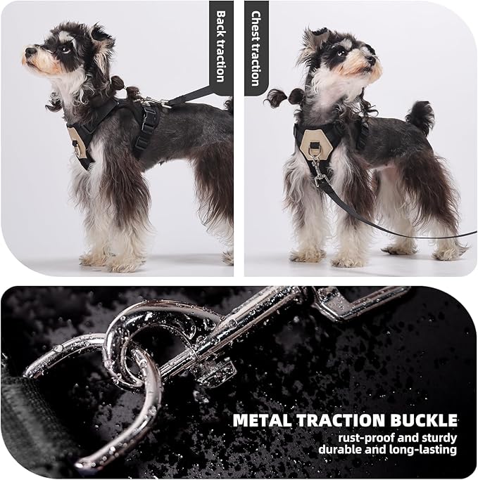 Small Dog Harness and Leash Set, Breathable Mesh Puppy Harness, Adjustable Dog Harness for Small Medium Large Dogs, No-Pull Pet Harness for Daily Walking (Black, Small)