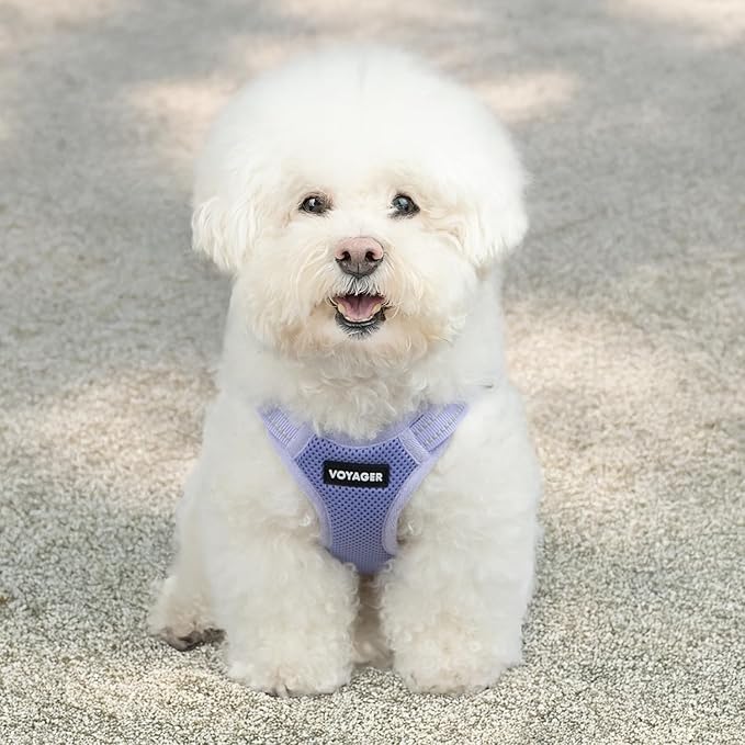 Best Pet Supplies Voyager Adjustable Step-in Flex Breathable Mesh Dog Harness for Small Medium Large Dogs (Lavender), L