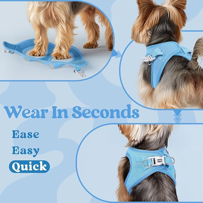rabbitgoo Small Dog Harness, Step-in Soft Mesh Puppy Vest with Safety Buckle, Breathable Reflective Pet Harness for Small Medium Dogs, Blue L