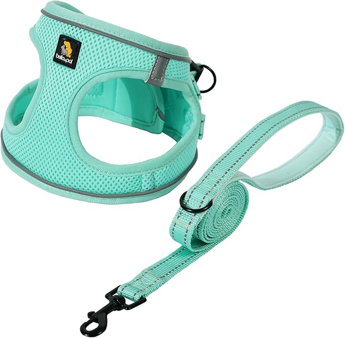 BELLA & PAL Step in Vest Harness for Small and Medium Dogs, No Pull Small Dog Harness with Leash Set, Comfortable Air Mesh Dog Vest Harness with Reflective Strip (Light Green, L)