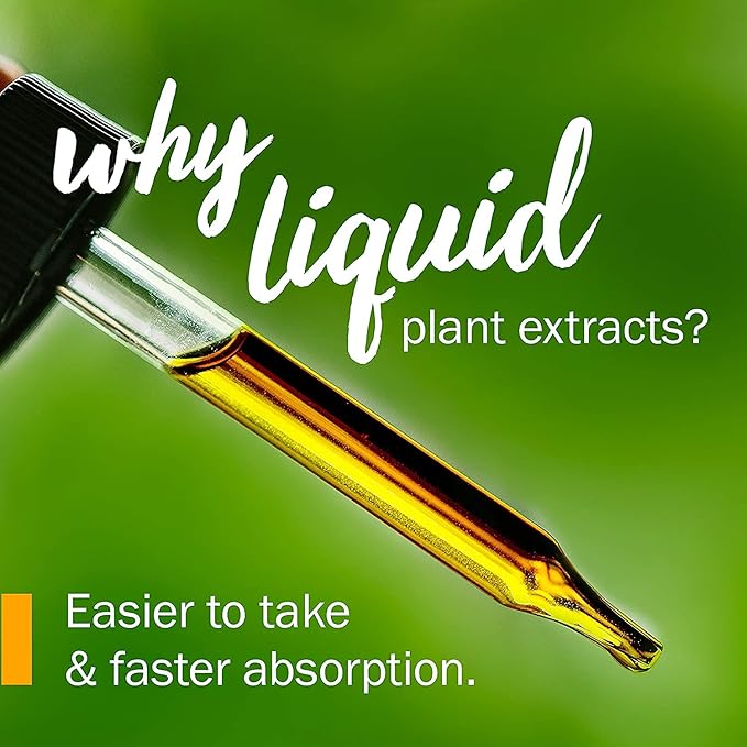 Herb Pharm Witch Hazel Liquid Extract, 1 Fl Oz (Pack of 2)