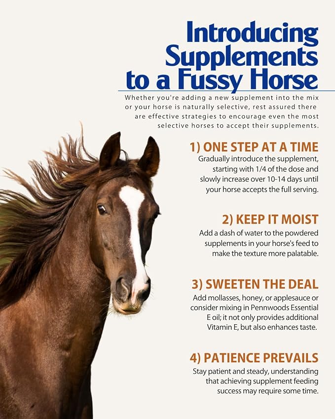 Pennwoods GI Renew Show, Probiotics for Equine, Immune and Appetite Stimulation, Prebiotics, Digestive Enzymes | Horse Supplement Providing Ulcer Relief and Treatment, Organic Toxin Binder, 6 LB Bag
