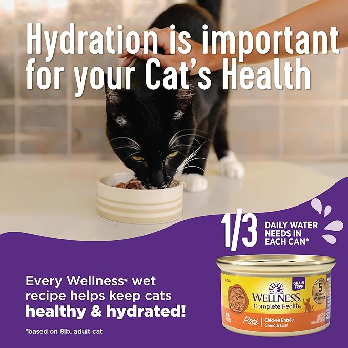 Wellness Complete Health Pate Kitten Wet Cat Food Canned Food, Natural, Protein-Rich, Grain Free, 3 Ounce Cans, 24 Pack, (Whitefish & Tuna)