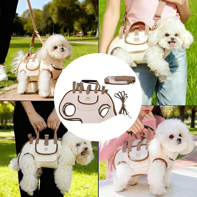 Portable Small Dog & Cat Pet Carrier Sling & Backpack for Small Dogs & Cats & Puppy, Dog & Pet Purse Bag Carrier Sling for Small Dogs with Dog Traction Leash, Crossbody Sling Carriers (Beige L)