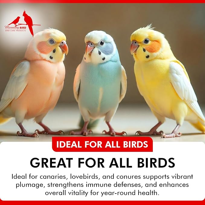 Morning Bird Bee Pollen Granules 1 Oz – Naturally Immune Support & Protein Powder for Birds – Boosts Strength, Feather Health & Energy Supplements – Easy to Mix with Food for All Bird Types