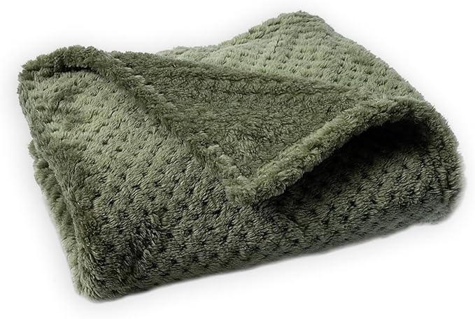 Pet Blanket Warm Soft Dog Blankets Washable Cat Throw Blankets Sofa Bed Couch Furniture Protector Cover for Small Medium Large Dogs Cats, Green, 63" x 79"