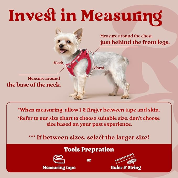 rabbitgoo Small Dog Harness, Step-in Soft Mesh Puppy Vest with Safety Buckle, Breathable Reflective Pet Harness for Small Sized Dogs, Red S