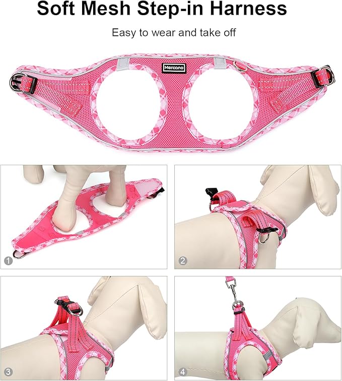Mercano Soft Mesh Dog Harness and Leash Set, No-Chock Step-in Reflective Breathable Lightweight Easy Walk Vest Harnesses with Safety Buckle for Small Dogs, Cats (L, Fuchsia)