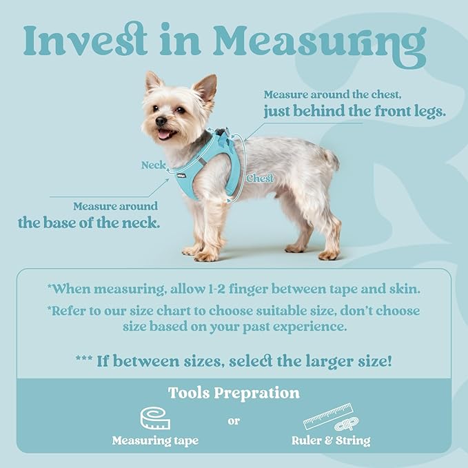 rabbitgoo Small Dog Harness, Step-in Soft Mesh Puppy Vest with Safety Buckle, Breathable Reflective Pet Harness for Small Sized Dogs, Mint Blue M