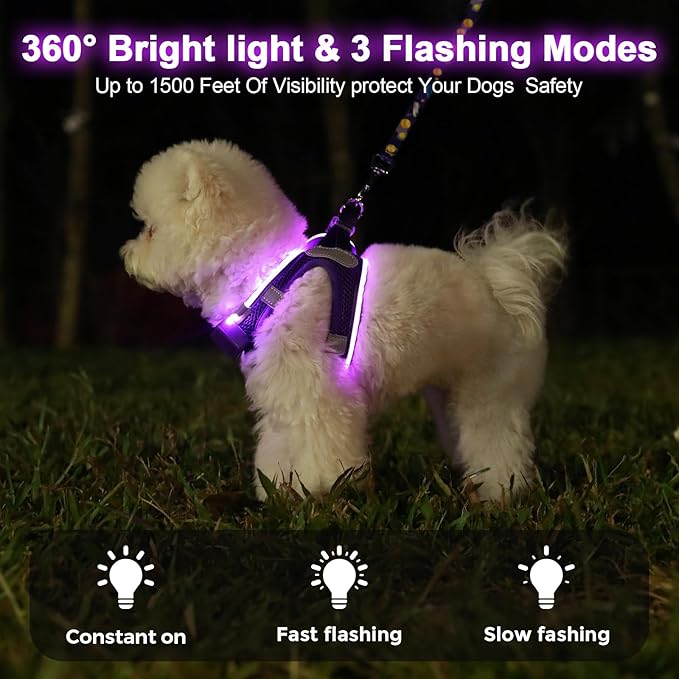 Light Up Dog Harness,Rechargeable LED Dog Harness for Small Medium Large Dogs,Reflective Lighted Safety Vest for Night Walking & Camping,Lightweight & Adjustable,Purple,M
