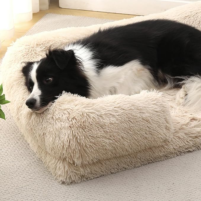 Dog Beds Medium Large Size Dog, Calming Dog Bed with Removable Washable Cover, Waterproof Lining and Nonskid Bottom(Black,M)