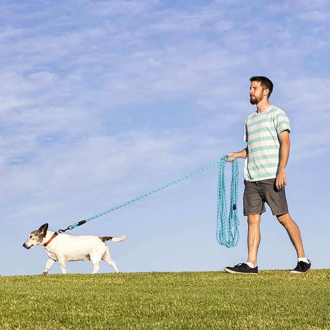Long Dog Leash for Training 20Ft-Reflective Nylon Rope with Swivel Hook-Recall Agility Lead for Large Small Medium Dogs Outside Walking Hiking-Sky Blue