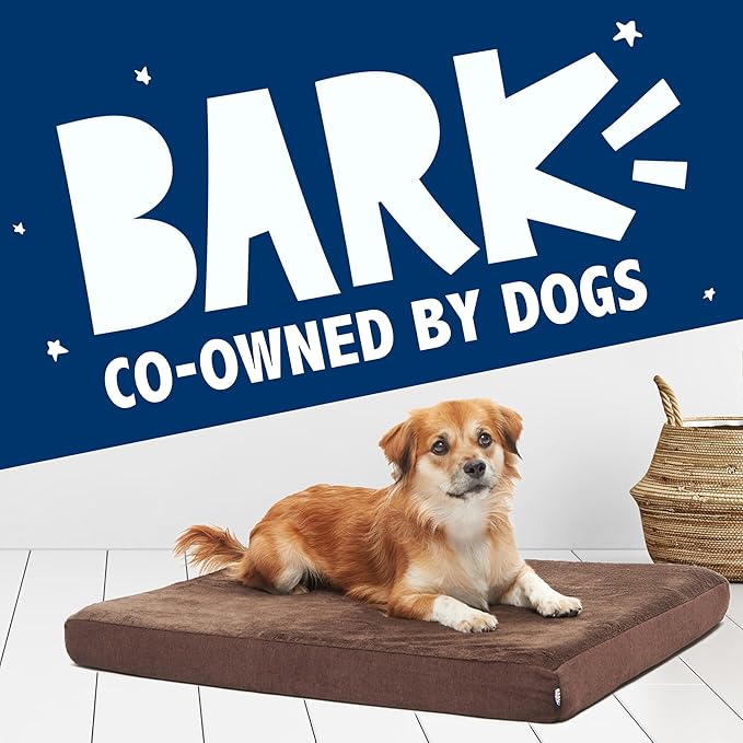 Barkbox Orthopedic Dog Bed with Memory Foam, Premium Comfort for Dogs and Puppies, Dog Bed for Joint Relief and Restful Sleep, Durable and Easy to Clean - Espresso, Large