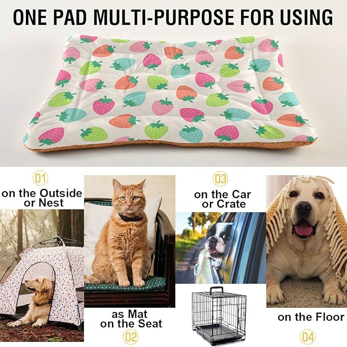 Pet Bed Strawberry Fruits Dog Bed Mat Absorbing Non Slip Pad Pet Sleeping Mat for Small, Medium, and Large Dogs Puppy Cat 36 in x 24 in