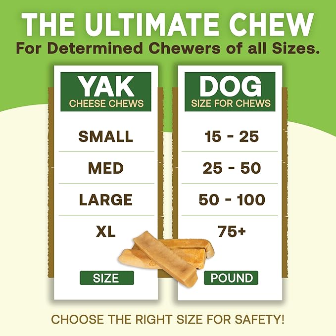 EcoKind Premium Gold Yak Cheese Himalayan Dog Chews, Dog Treats for Medium Dogs, All Natural, High Protein, for Aggressive Chewers, Medium - 6 Chews