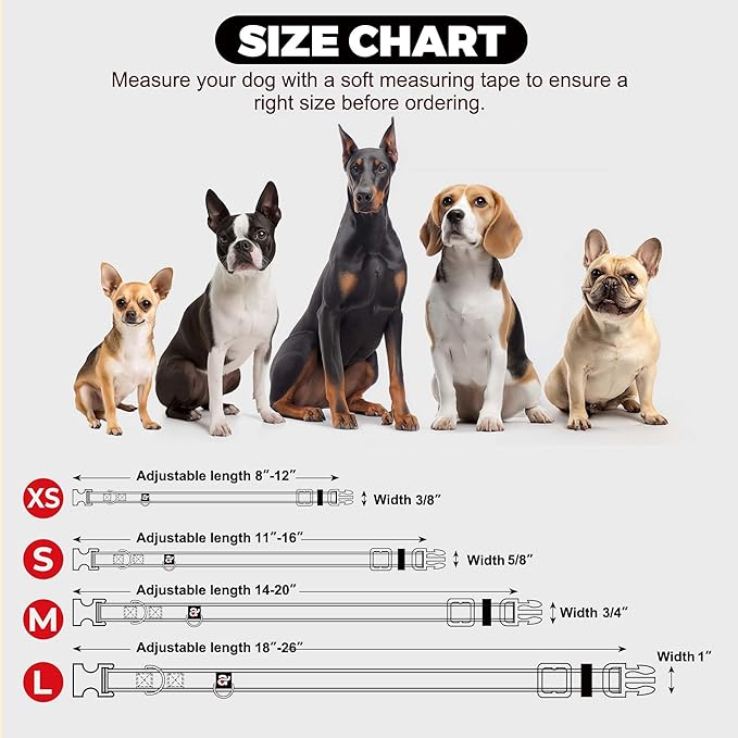 azuza Reflective Dog Collar,Soft Neoprene Padded Pet Collar with ID Tag Ring,Adjustable for Puppy and Small Dogs,Teal,XS