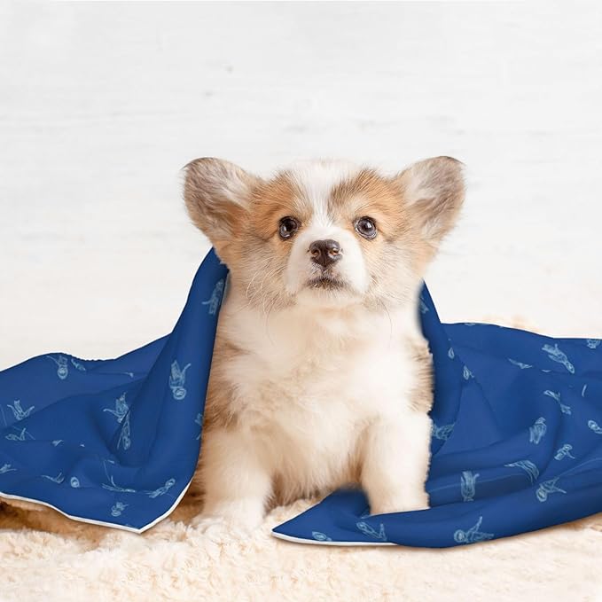 Reversible Plush Pet Blanket for Puppies Kittens, Blue Background, Double Sided Gentle Dot Texture for New Pets Adjusting to Home Environment Softly
