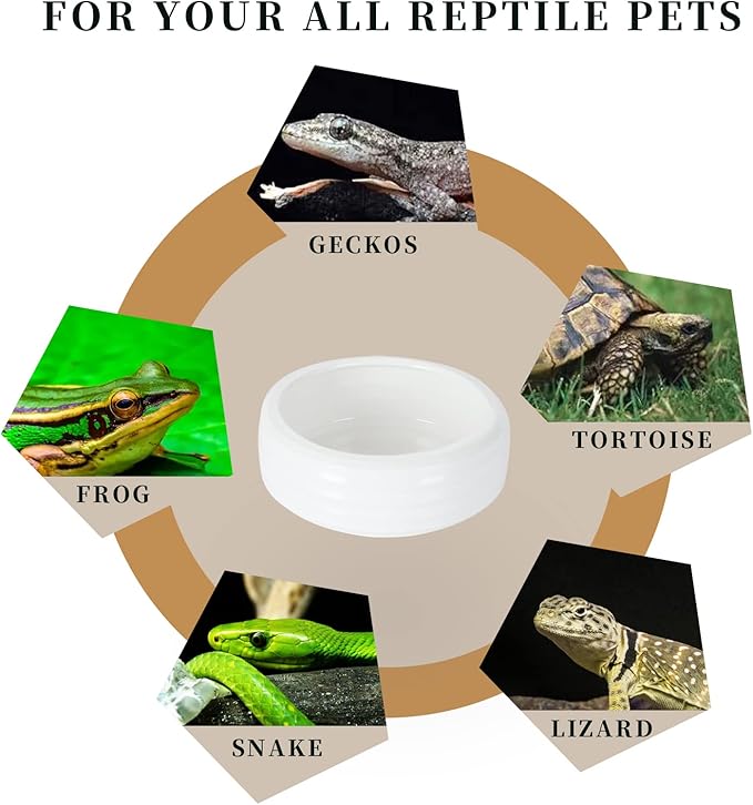 Reptile Food Bowls Ceramic Round Reptile Water Food Dish, Pet Food Bowl for Lizards, Small Snakes, Young Bearded Dragons, Gecko Tortoise Spider (White, Large-1Pack)