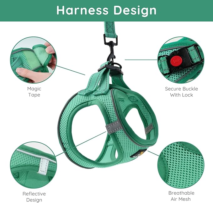 BELLA & PAL Step in Vest Harness for Small and Medium Dogs, No Pull Small Dog Harness with Leash Set, Comfortable Air Mesh Dog Vest Harness with Reflective Strip (Emerald, XS)