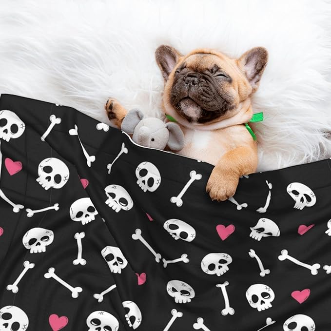 Double Sided Plush Pet Blanket with Cozy Dot Texture and Smooth Reverse, Cartoon Skulls with Hearts On Black, Reversible Throw for Dogs Cats on Couches Beds Crates