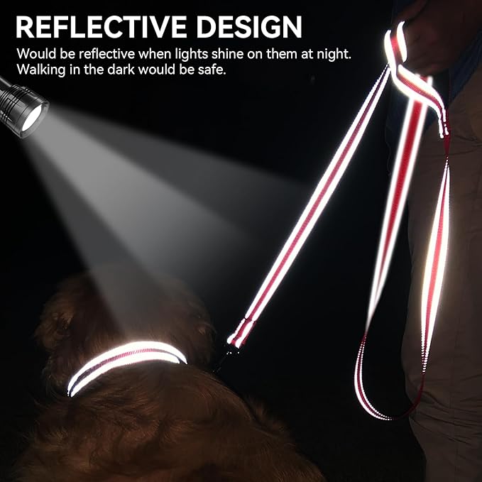 Joytale Dog Leash, 5 FT Double-Sided Reflective, Padded Handle Nylon Heavy Duty Leashes for Small Dogs Walking, Red