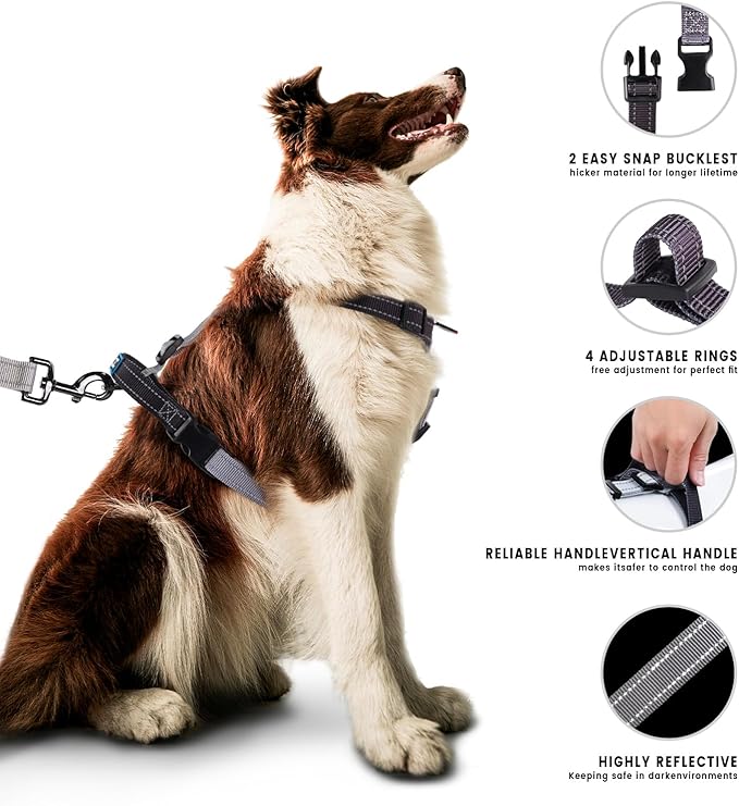 Roses&Poetry Puppy Dog Harness and Leash Set, No Pull Dog Harness Adjustable Reflective, Dog Halter Harnesses Comfort Padded Handle, Pet Harness for Training Outdoor Walking（BlackGray-XS