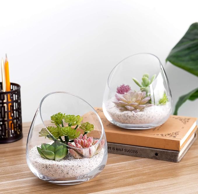 MyGift 5 Inch Premium Clear Glass Air Plant Terrarium, Mini Candy Bowl Jar, Tealight Candle Holder, Succulent Cactus Plant Vase, Set of 2