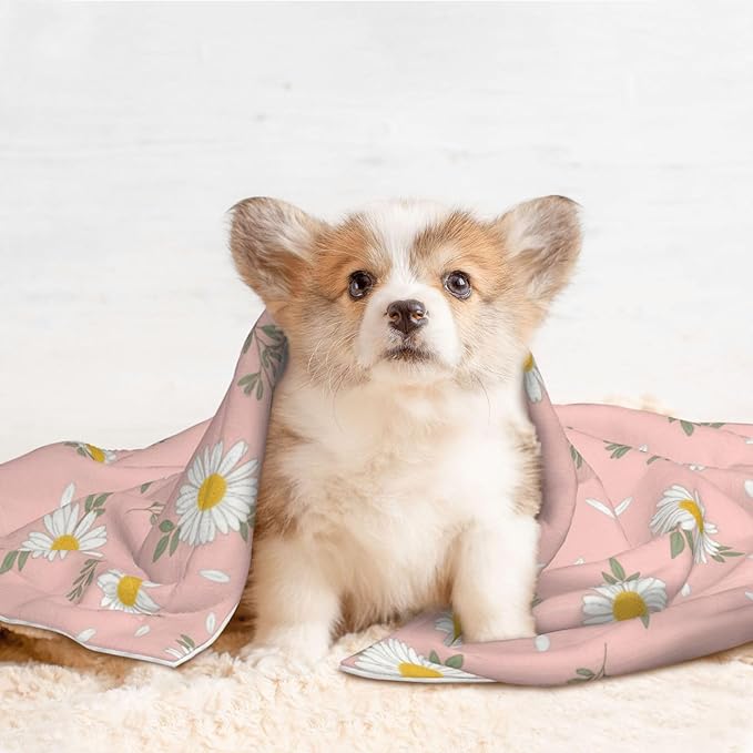 Pet Blanket for Indoor Outdoor Use, Shabby Chic Flower Daisy Roses Spring Season Theme Pink, Two Sided Reversible Plush Mat with Bumpy Dot Texture for Patios Crates Portable Bed Companion