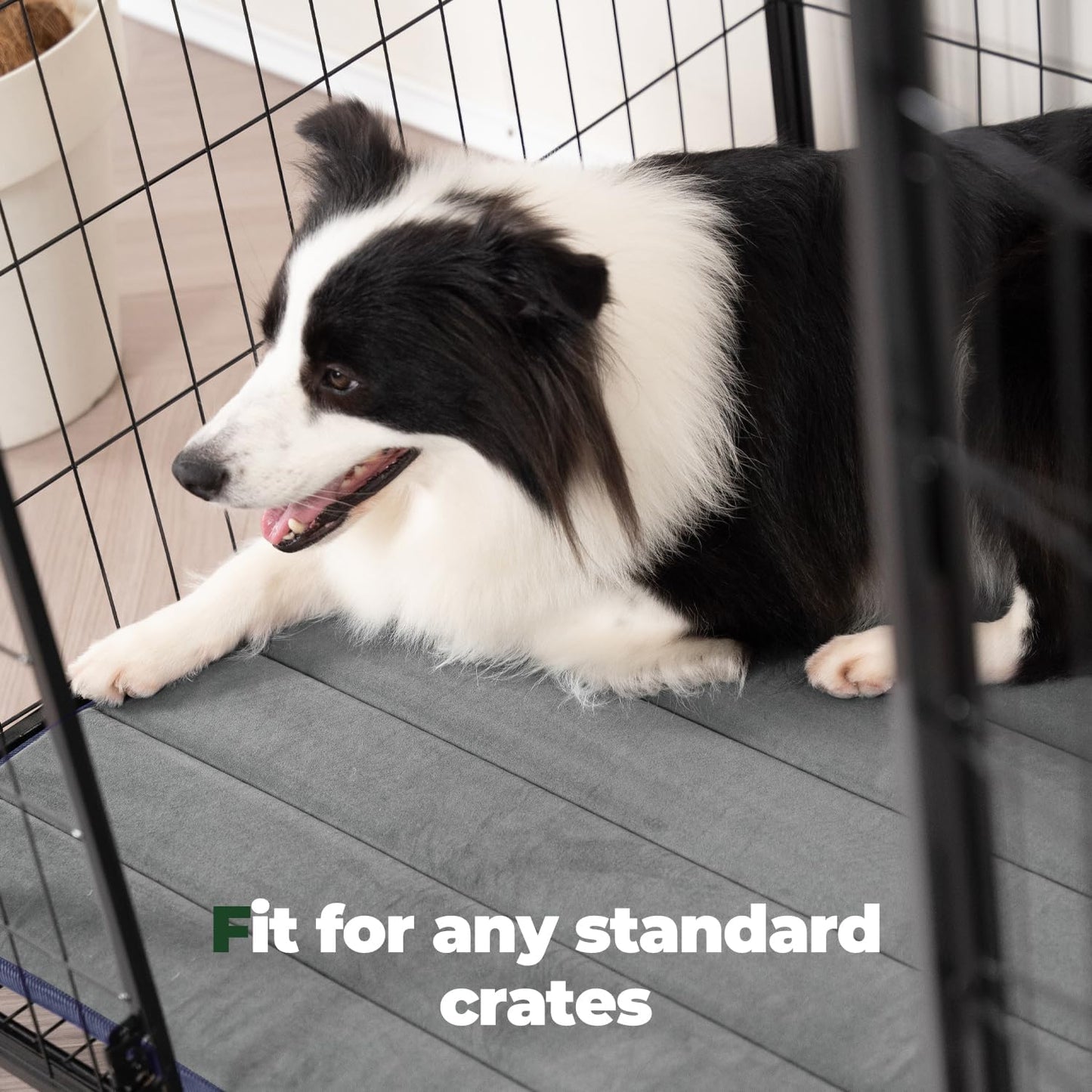 BALANCE Dog Crate Pad, Dog Foam Crate Mat Kennel Pad, Washable Water-Resistant Pet Bed Flat Dogs Cage Mat for Small Dogs