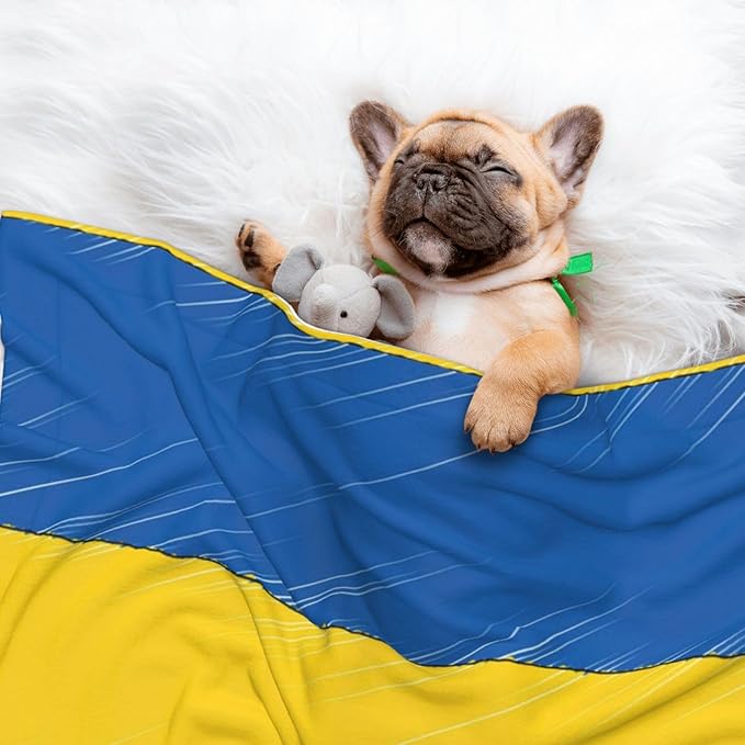 Double Sided Pet Throw for Dogs Who Shed, Abstract Ukraine Flag, Reversible Blanket with Nubby Dot Side Catches Loose Fur for Easier Furniture Cleanup