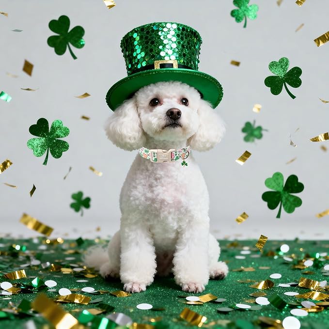 St Patricks Day Dog Collar for Medium Dogs - Cute Pastel Lucky Clover Dog Collars, Lightweight Adjustable Irish Green Festival Dogs Collars with Quick Release Buckle M