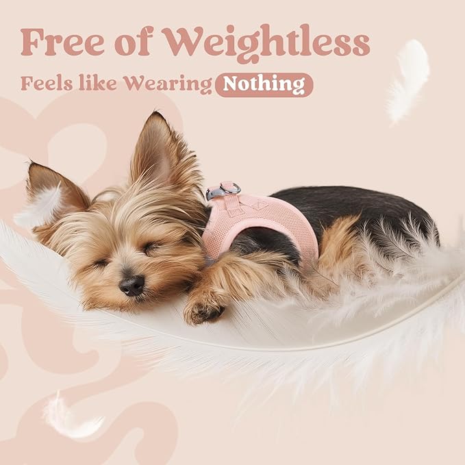 rabbitgoo Small Dog Harness, Step-in Soft Mesh Puppy Vest with Safety Buckle, Breathable Reflective Pet Harness for Extra Small Dogs, Pink XXXS
