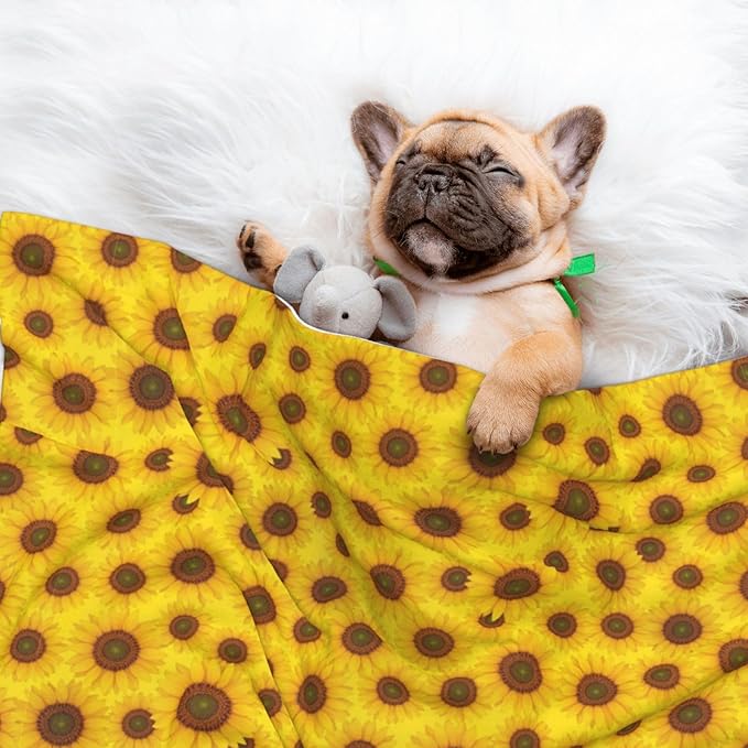 Reversible Plush Dot Pet Blanket for Dogs and Cats, Beautiful Sunrise Sunflower Art, Ultra Soft Two Sided Design with Warm Fuzzy Side and Smooth Side for Comfort
