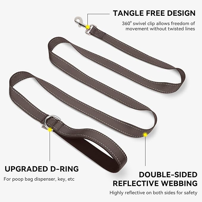 Joytale Double-Sided Reflective Dog Leash, 4 FT, Padded Handle Nylon Heavy Duty Leashes for Medium & Large Dogs Walking, Brown