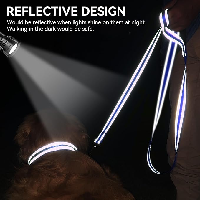 Joytale Dog Leash, 5 FT Double-Sided Reflective, Padded Handle Nylon Heavy Duty Leashes for Medium & Large Dogs Walking, Navy Blue