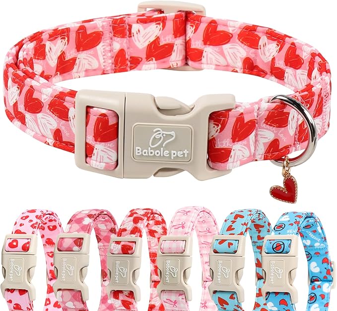 Valentines Dog Collar for Small Dogs - Cute Pink Girl Dog Collar, Doodle Heart Pattern, Adjustable Valentine Dog Collars with Red Heart Charm S