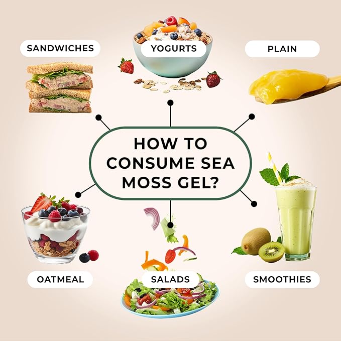TrueSeaMoss Sea Moss Gel – Made in USA – 5-in-1 Formula – Wildcrafted Seamoss, Ashwagandha & Sea Vegetables – Ashwagandha, Pack of 5 (Labels may Vary)