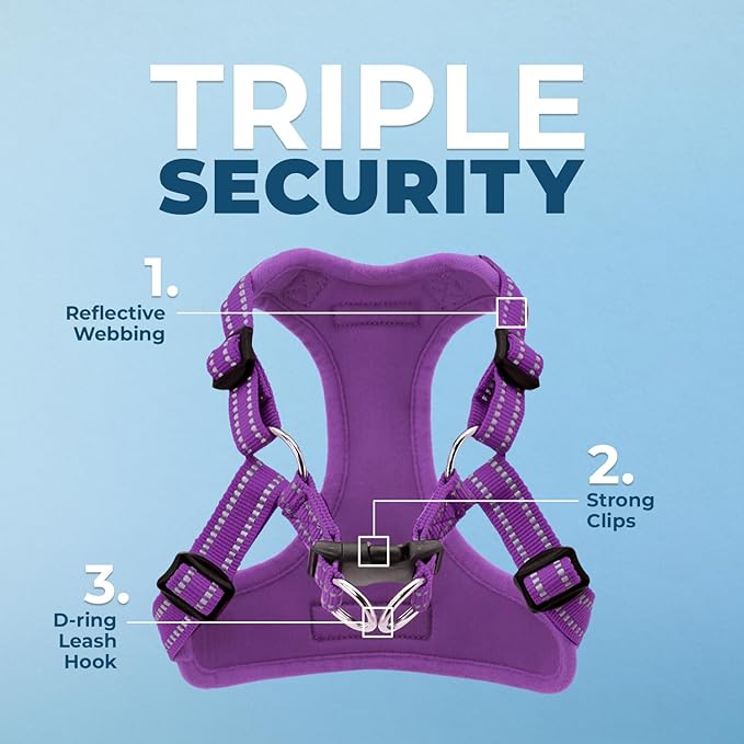 Best Pet Supplies Voyager Adjustable Step-in Flex Breathable Mesh Dog Harness for Small Medium Large Dogs (Purple), XS
