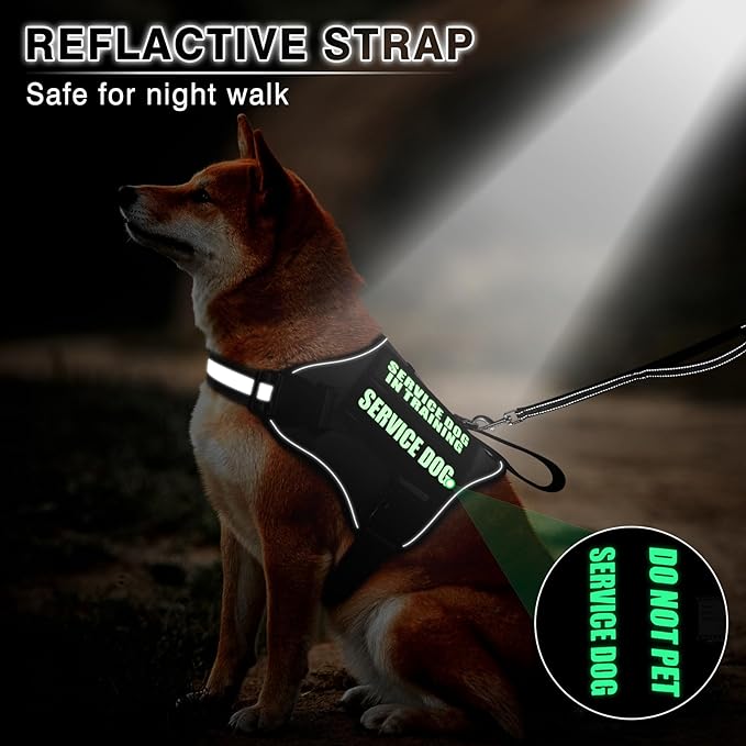 Service Dog Vest Harness and Leash Set+10 Patches,No Pull&Easy Walk Reflective Dog Harness with Soft Padded Handle for Training/Everyday,Fit Small/Medium/Large/Extra-Large Dogs (Black S)