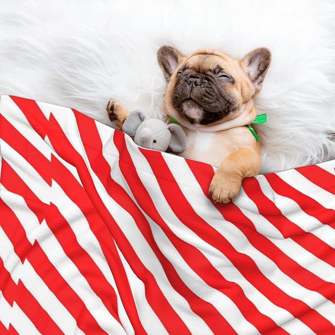 Double Sided Plush Pet Blanket for Small Large Animals, Red White Stripes Christmas Candy Cane, Reversible Throw with Dimpled Dot Side and Flat Side for Kennels Living Rooms