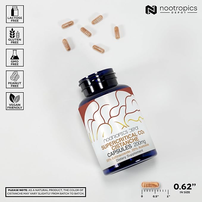 Nootropics Depot Cistanche Supercritical CO2 Extract Capsules | 20% Echinacoside + 20% Verbascoside (Acetoside) | 60 Count