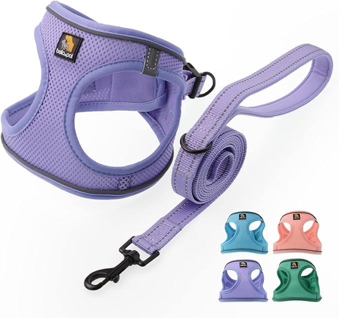 BELLA & PAL Step in Vest Harness for Small and Medium Dogs, No Pull Small Dog Harness with Leash Set, Comfortable Air Mesh Dog Vest Harness with Reflective Strip (Lavender, XXS)