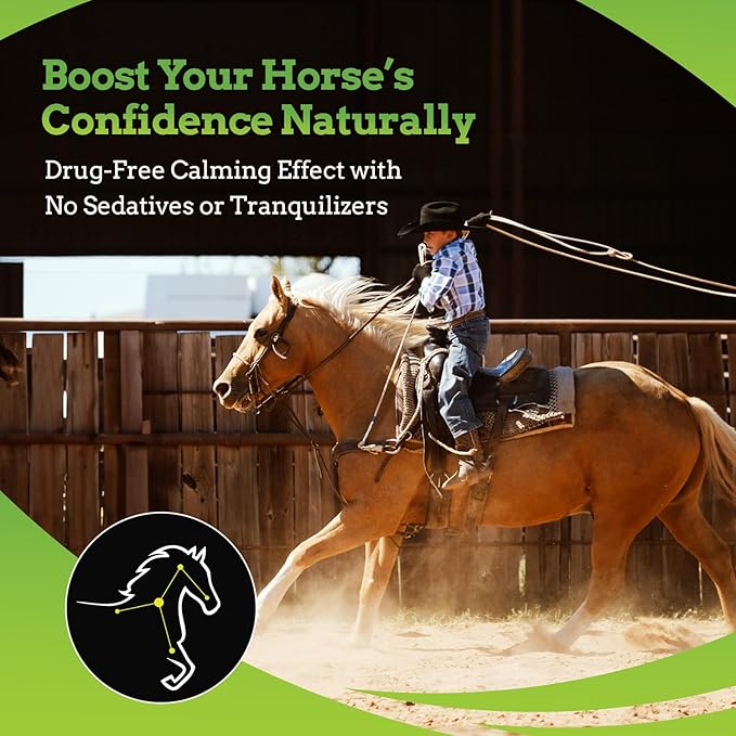 SynChill AF Calming Gel for Nervous Horses - Single Serving - Advanced Formula with L-Theanine, Increased Potency, 100% Natural Supplement, Disposition & Confidence Support for Horses - 10 Pack