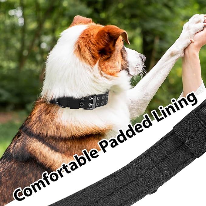 Tactical Dog Collar Military Adjustable Dog Collars Soft Nylon Training Collar with Patch Heavy Duty Metal Buckle Collars for Medium Large Dogs (Black, M)