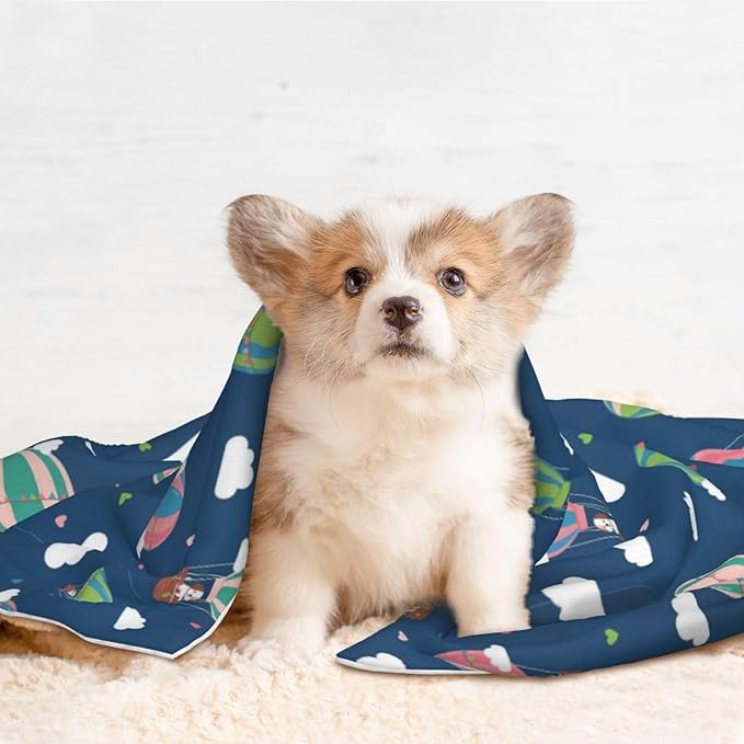 Reversible Plush Dot Pet Blanket for Dogs and Cats, Dachshund Hot Air Balloon Dogs, Ultra Soft Two Sided Design with Warm Fuzzy Side and Smooth Side for Comfort