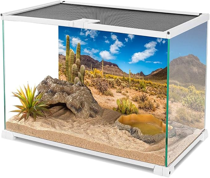 AWERT 48x20 inches Reptile Habitat Background Blue Sky Oasis Cactus Desert Terrarium Background Vinyl