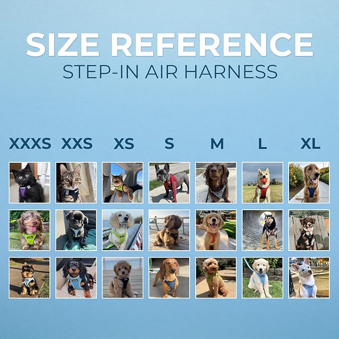 Best Pet Supplies - All Weather Mesh / Plush, Reflective, No Pull Harness for Small, Medium Dogs, Cats - Secure with Hook & Loop Fastener, Buckle, Double D-Rings - Baby Blue/Black Trim, S