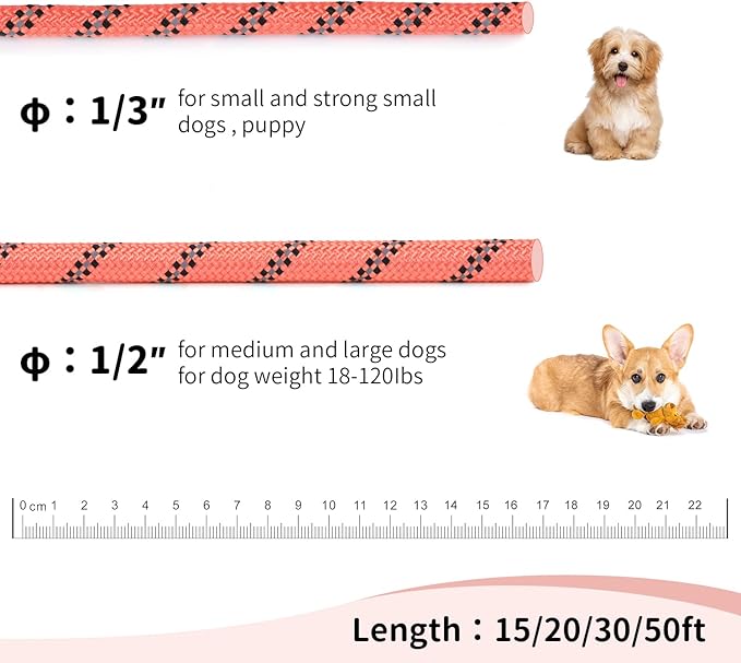 Long Dog Leash for Training 20Ft-Reflective Nylon Rope with Swivel Hook-Recall Agility Lead for Large Small Medium Dogs Outside Walking Hiking-Orange Diam 1/2"