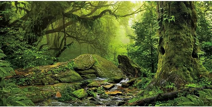 AWERT Tropical Forest Terrarium Background Stream Green Huge Tree Reptile Habitat Background Foggy Rainforest Aquarium Background 36x18 inches Durable Polyester Background